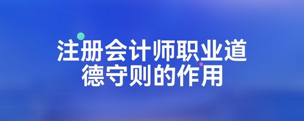 注册会计师职业道德守则的作用