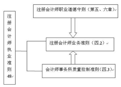 2010年注会《审计》:注会的职业标准(1)