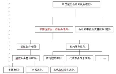 2010年《审计》辅导:注册会计师执业准则(1)