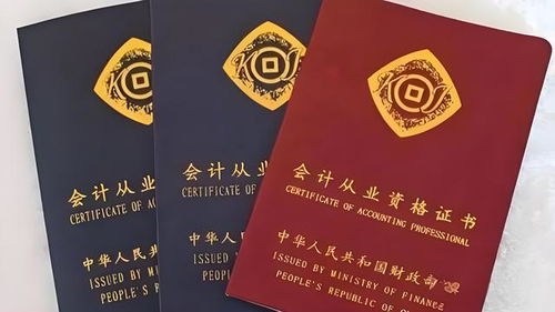 高级会计师和注册会计师有什么区别 谁才是财务界的扛把子