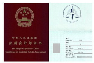 做上市公司审计需要什么条件