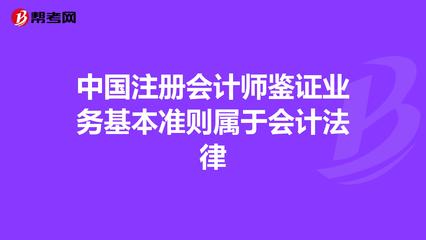 中国注册会计师鉴证业务基本准则属于