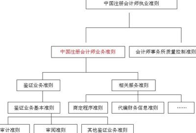2012年注会 审计 预习辅导:第四章节(1)