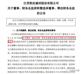 29岁注册会计师成为上市公司财务总监, 看完他的履历终于知道了原因