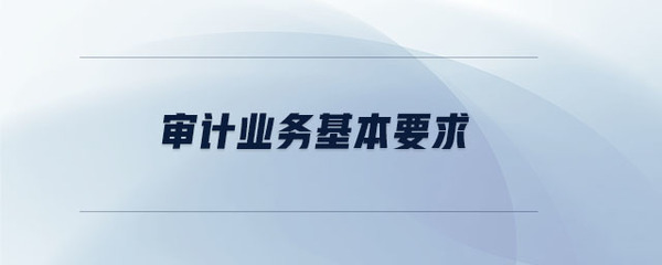 「审计程序」审计业务基本要求