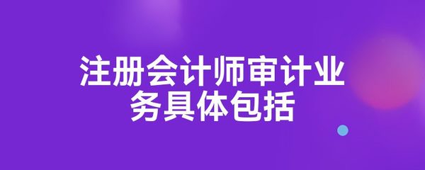 注册会计师审计业务具体包括