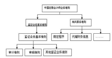 《中国注册会计师鉴证业务基本准则》指南