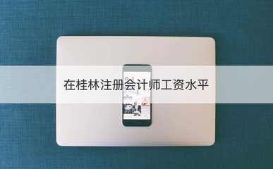 在桂林注册会计师工资水平 注册会计师收入怎样